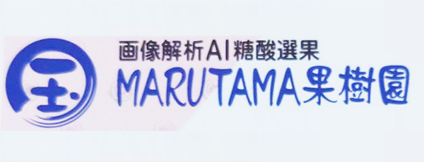 MARUTAMA果樹園